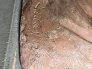 11IMG_8559